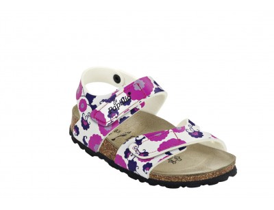 Bari Fantasy Flowers Fuchsia