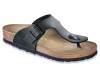 Ramses Black