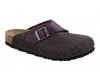 Basel Grape