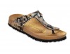 Gizeh Peacock Brown