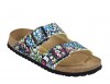 Arizona Springflower Blue