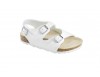 Roma white
